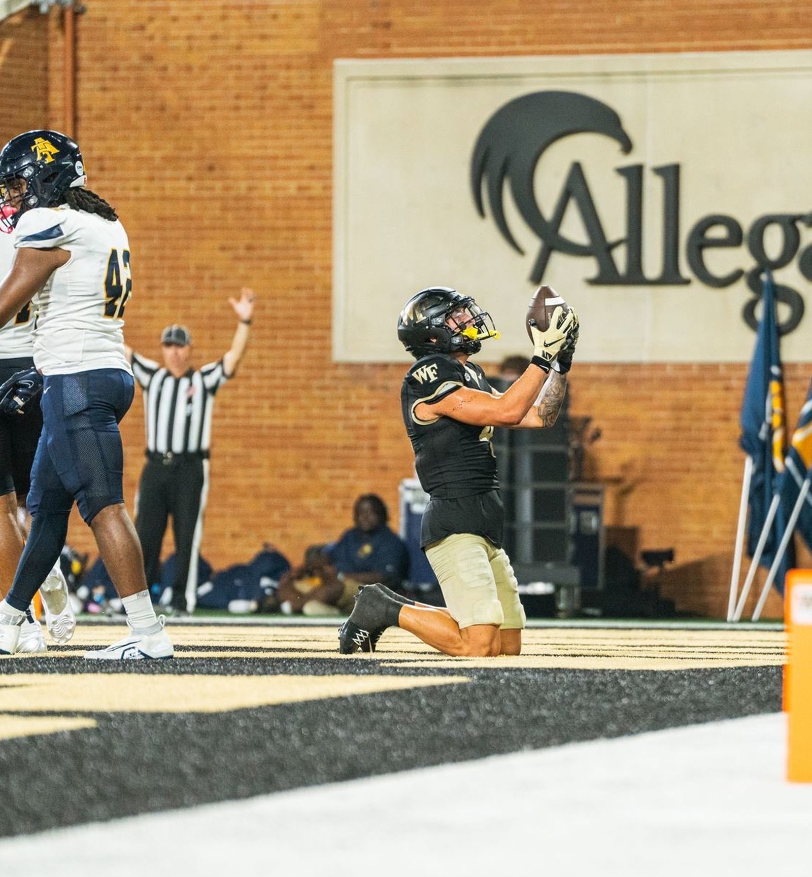 Touchdown catch in the end zone
